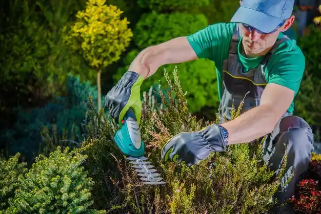 landscaping services Highpoint